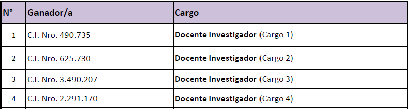 docente investigador